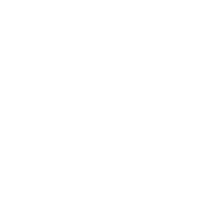 Kari Traa Logo